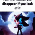 shadow the hedgehog sonic