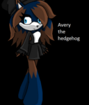 screenshot 2024 05 21 at 14 23 15 avery the hedgehog google search