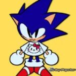 Sonic shirt wearing Hello Kitty XD