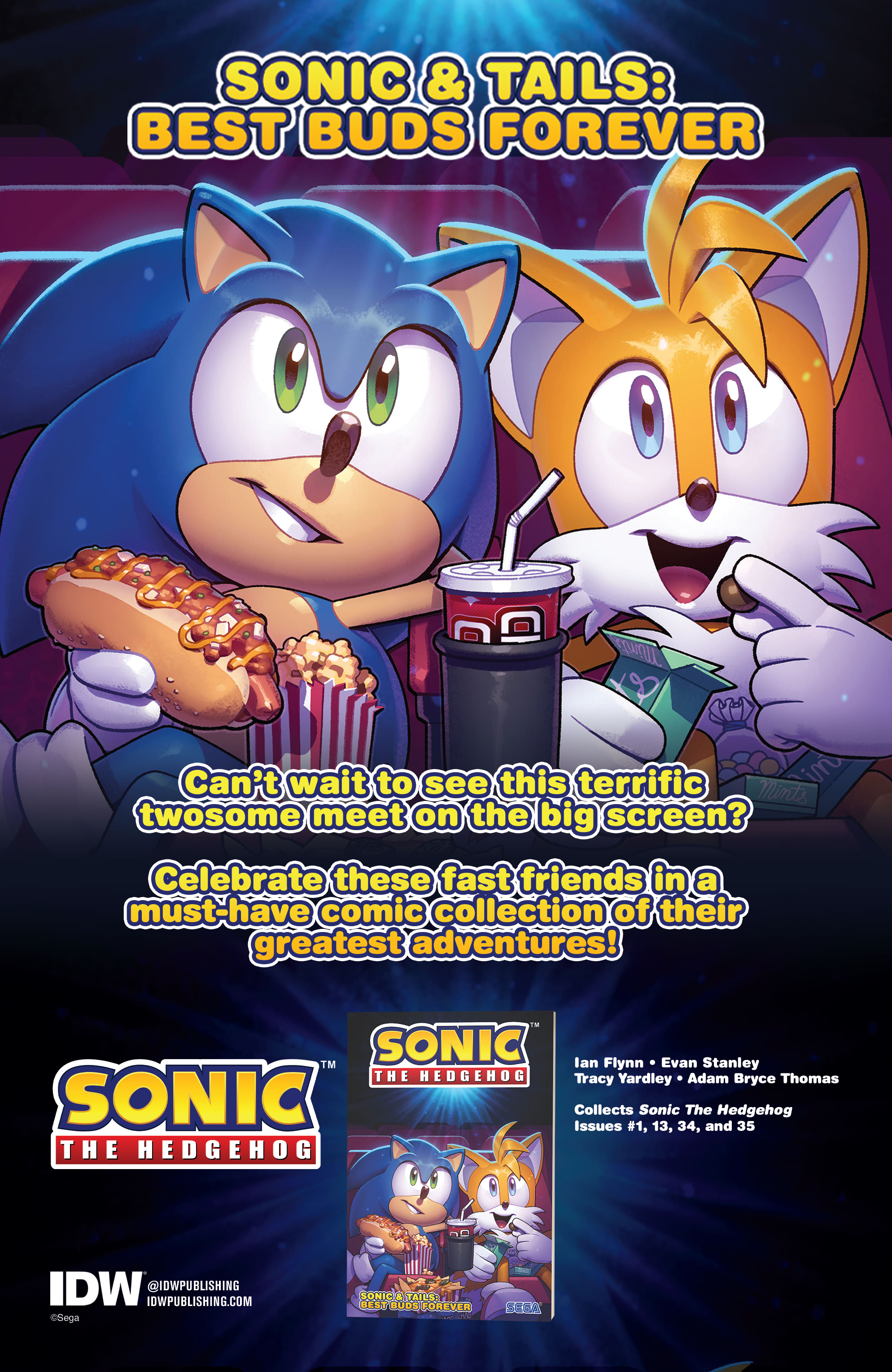 Sonic The Hedgehog: Sonic & Tails: Best Buds Forever - By Ian