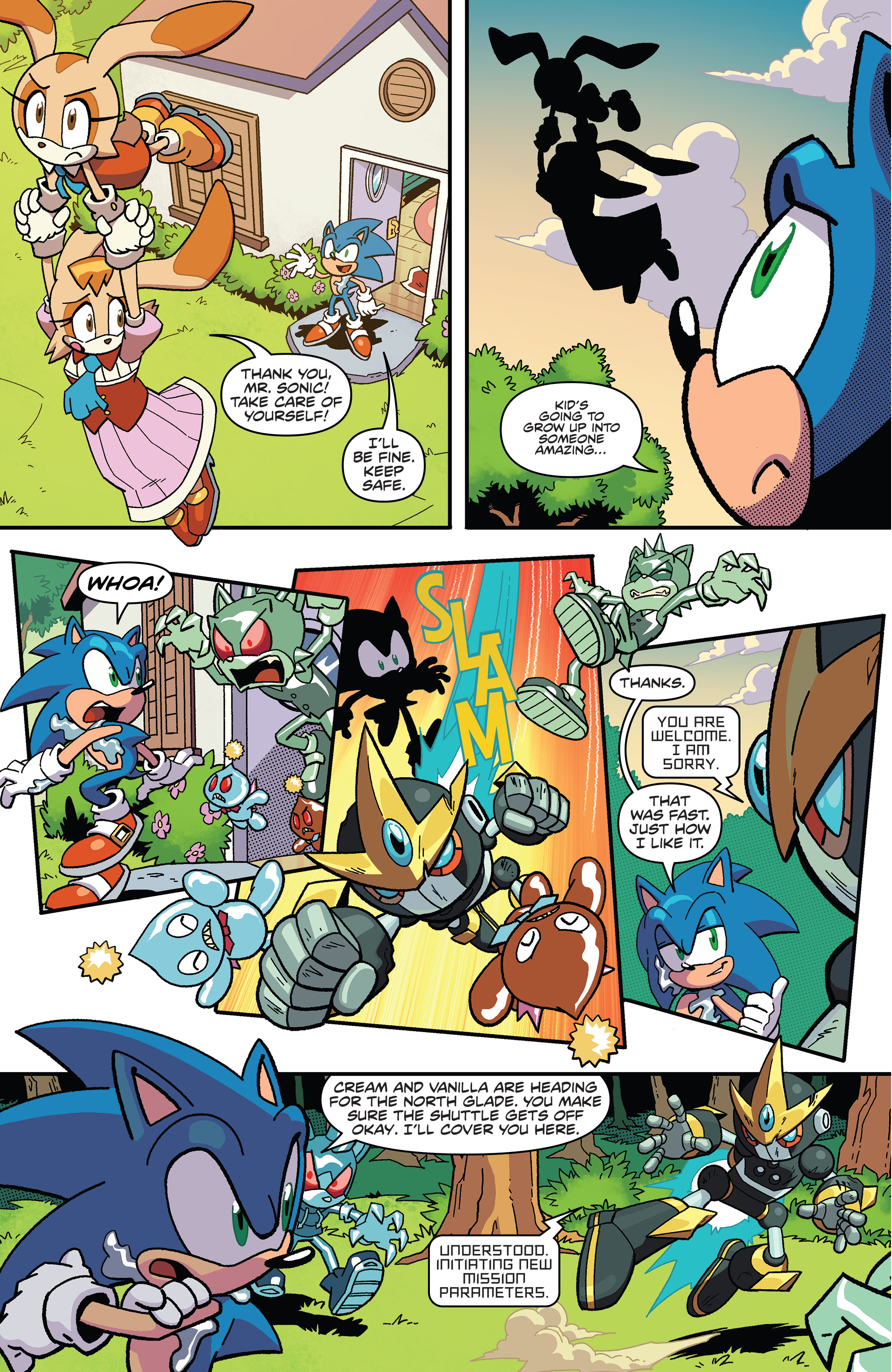 Sonic The Hedgehog IDW (#1-70) - Read Comic Online Sonic The Hedgehog #18