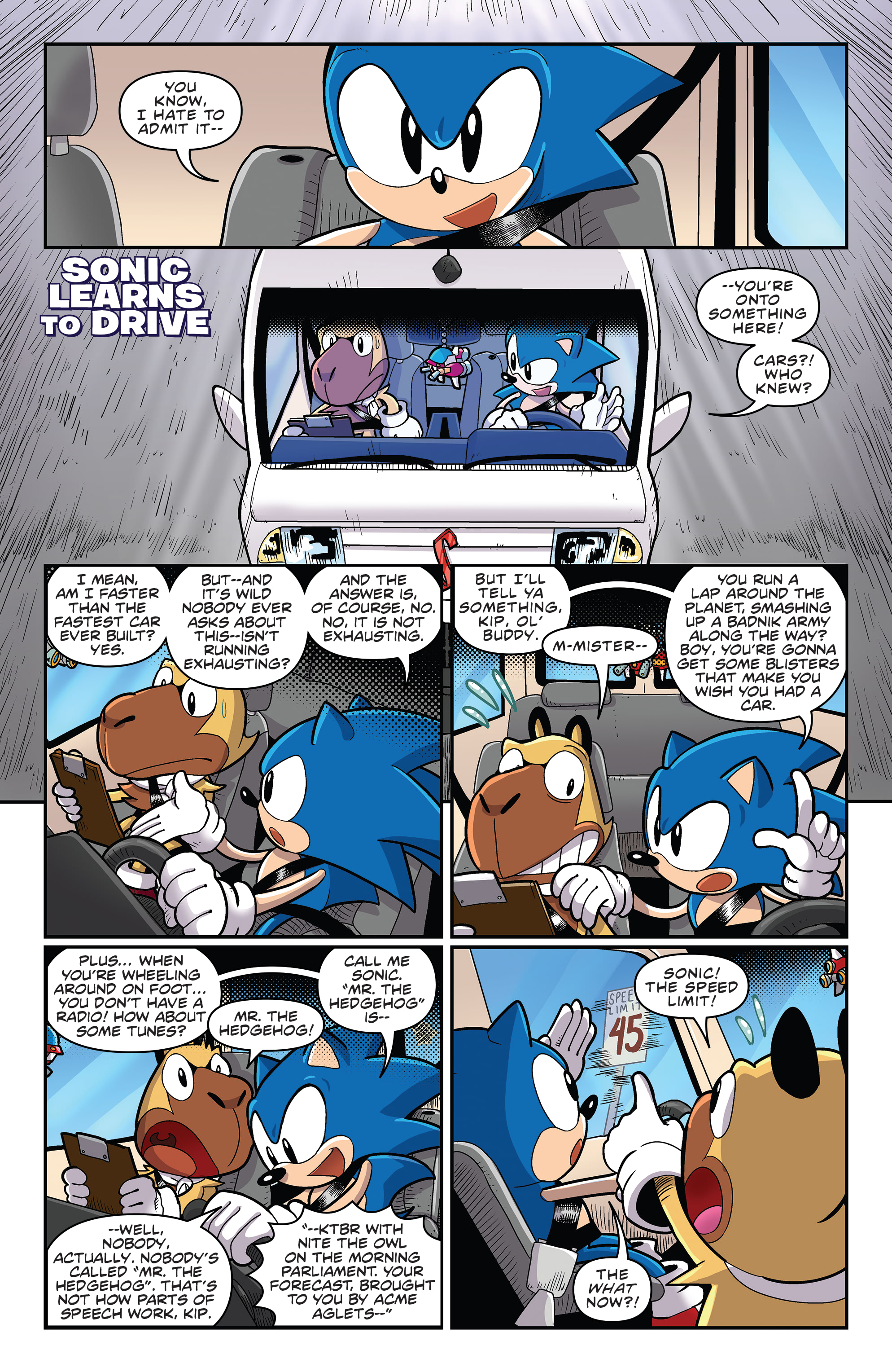 Idw Classic Sonic Tails And Amy Anniversary Comics Read Online