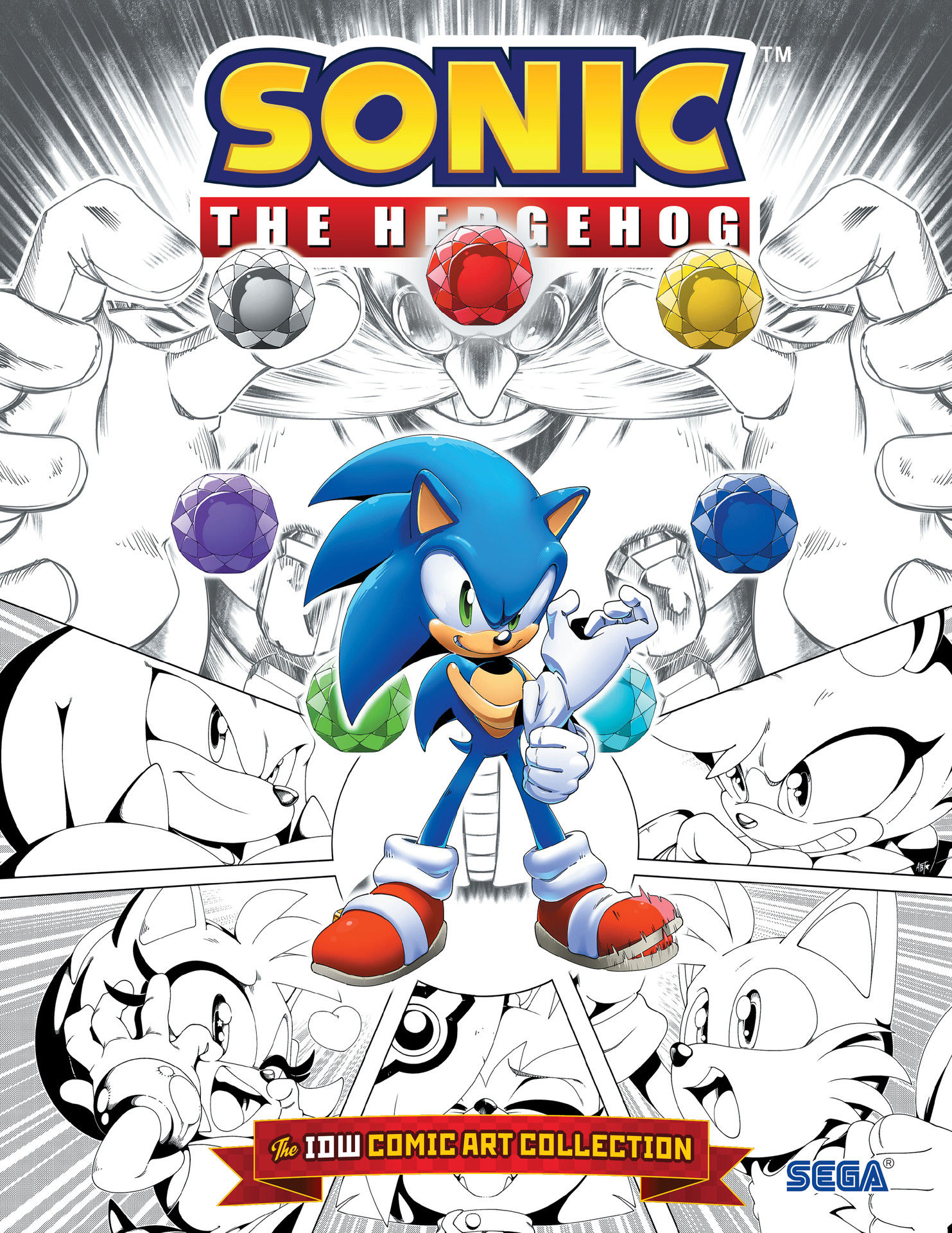 Sonic the Hedgehog: The IDW Comic Art Collection - Read Online